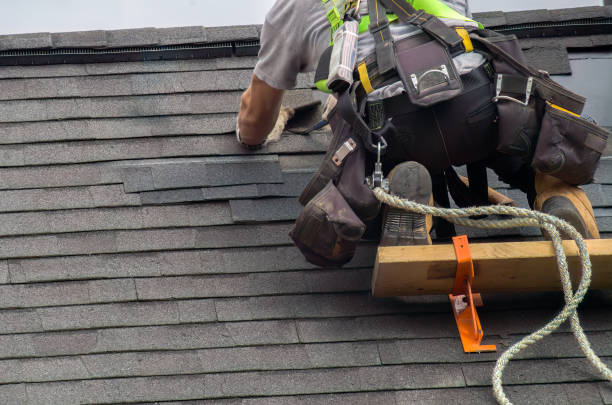 Best Roof Repair Services  in Harvey, MI